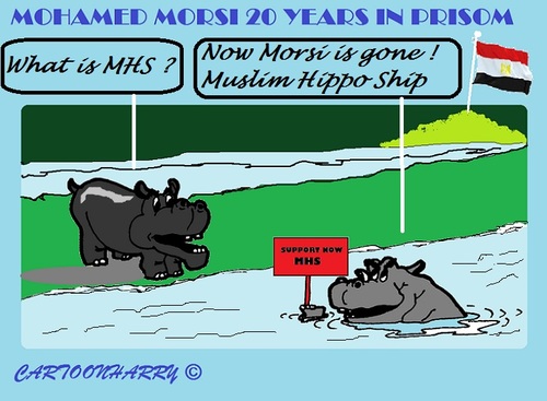 Cartoon: Muslim Hippoship (medium) by cartoonharry tagged egypt,hippo,mursi,mbs,mhs
