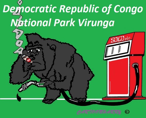 Cartoon: Oil More Important (medium) by cartoonharry tagged gorillas,mountain,congo,oil,virunga,cartun,cartoon,toons,toon,toonpool,cartoonharry,cartoonist,dutch