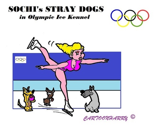 Cartoon: Stray Dogs (medium) by cartoonharry tagged olympics,russia,sochi,straydogs,iceskating