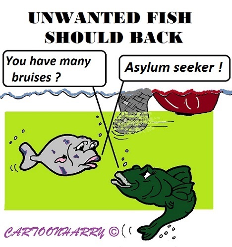 Cartoon: Wet Seeker (medium) by cartoonharry tagged fish,europ,asylum,seeker,bruises,back,water,sea,ocean,fishermen,boat,cartoons,net,cartoonists,brussel,cartoonharry,dutch,toonpool