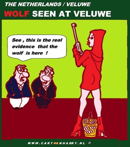 Cartoon: Wolf In Holland (medium) by cartoonharry tagged wolf,ridinghood,holland,cartoon,cartoonist,cartoonharry,dutch,toonpool