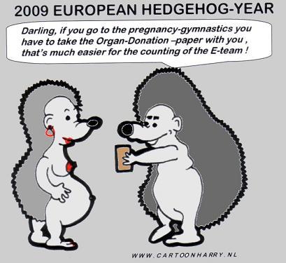 Cartoon: Year of the Hedgehog (medium) by cartoonharry tagged codicil,donor,hedgehog