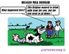 Cartoon: Belgians and Cows (small) by cartoonharry tagged cow,sit,milk,belgian,drink