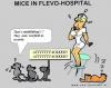 Cartoon: Mice in Hospital (small) by cartoonharry tagged mice,garfield,nurse,attack