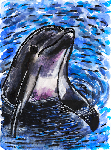 Delfin