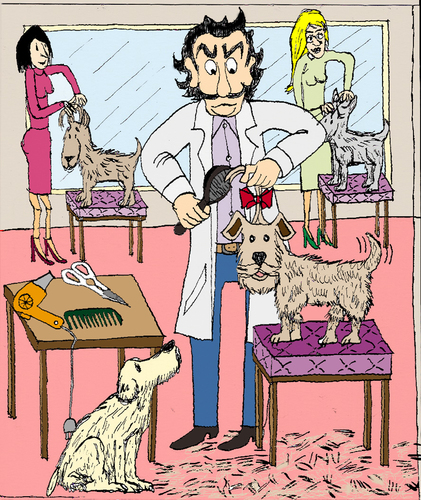 Cartoon: Der Hundefriseur (medium) by Pascal Kirchmair tagged stilist,mode,styliste,stylist,canine,figaro,schneiden,setzen,legen,frisieren,hundesalon,coiffure,salon,chiens,de,coiffeur,groomer,dog,hundefriseur
