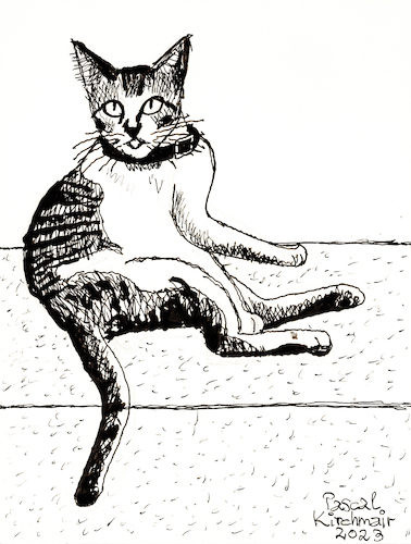 Cartoon: Katze in Manila (medium) by Pascal Kirchmair tagged kunst,artwork,pascal,kirchmair,cartoon,chat,cat,katze,gato,gatto,portrait,famille,family,nice,nizza,antibes,provence,artist,artiste,artista,künstler,illustration,ink,drawing,zeichnung,caricature,karikatur,ilustracion,dibujo,desenho,disegno,ilustracao,illustrazione,illustratie,dessin,de,presse,du,jour,art,of,the,day,tekening,teckning,cartum,vineta,comica,vignetta,caricatura,arte,manila,tinta,china,encre,chine,nanquim,inchiostro,da,tusche,tuschezeichnung,kunst,artwork,pascal,kirchmair,cartoon,chat,cat,katze,gato,gatto,portrait,famille,family,nice,nizza,antibes,provence,artist,artiste,artista,künstler,illustration,ink,drawing,zeichnung,caricature,karikatur,ilustracion,dibujo,desenho,disegno,ilustracao,illustrazione,illustratie,dessin,de,presse,du,jour,art,of,the,day,tekening,teckning,cartum,vineta,comica,vignetta,caricatura,arte,manila,tinta,china,encre,chine,nanquim,inchiostro,da,tusche,tuschezeichnung