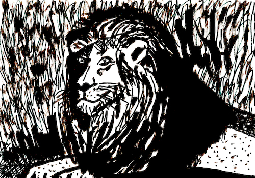 Cartoon: Löwe (medium) by Pascal Kirchmair tagged lion,leao,leon,leo,leone,löwe,dessin,zeichnung,portrait,retrato,ritratto,porträt,art,arte,kunst,predator,raubkatze,predateur,felin,felino,fauve,predador,predatore,big,cat,cats,katzen,gatos,gatti,chats,illustration,ink,drawing,pascal,kirchmair,cartoon,caricature,karikatur,ilustracion,dibujo,desenho,disegno,ilustracao,illustrazione,illustratie,de,presse,tekening,teckning,cartum,vineta,comica,vignetta,caricatura,tusche,tuschezeichnung,lion,leao,leon,leo,leone,löwe,dessin,zeichnung,portrait,retrato,ritratto,porträt,art,arte,kunst,predator,raubkatze,predateur,felin,felino,fauve,predador,predatore,big,cat,cats,katzen,gatos,gatti,chats,illustration,ink,drawing,pascal,kirchmair,cartoon,caricature,karikatur,ilustracion,dibujo,desenho,disegno,ilustracao,illustrazione,illustratie,de,presse,tekening,teckning,cartum,vineta,comica,vignetta,caricatura,tusche,tuschezeichnung