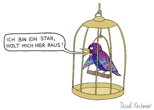 Cartoon: Star (medium) by Pascal Kirchmair tagged ich,bin,ein,star,holt,mich,hier,raus,gag,humour,umorismo,umore,spirito,humor,lustig,cartoon,caricature,karikatur,pascal,kirchmair,no,deal,illustration,drawing,zeichnung,political,politische,ilustracion,dibujo,desenho,ink,disegno,ilustracao,illustrazione,illustratie,dessin,de,presse,du,jour,art,of,the,day,tekening,teckning,cartum,vineta,comica,vignetta,caricatura,esprit,witz,vogel,vogelkäfig,gefangen,ich,bin,ein,star,holt,mich,hier,raus,gag,humour,umorismo,umore,spirito,humor,lustig,cartoon,caricature,karikatur,pascal,kirchmair,no,deal,illustration,drawing,zeichnung,political,politische,ilustracion,dibujo,desenho,ink,disegno,ilustracao,illustrazione,illustratie,dessin,de,presse,du,jour,art,of,the,day,tekening,teckning,cartum,vineta,comica,vignetta,caricatura,esprit,witz,vogel,vogelkäfig,gefangen