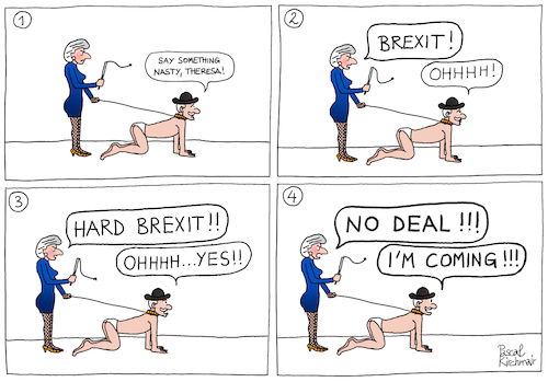 The Brexiteer