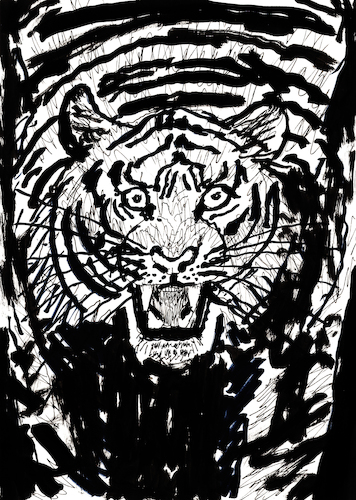 Cartoon: Tiger (medium) by Pascal Kirchmair tagged predator,raubkatze,predateur,felin,felino,fauve,predador,predatore,tiger,tigre,big,cat,cats,katzen,gatos,gatti,chats,illustration,ink,drawing,zeichnung,pascal,kirchmair,cartoon,caricature,karikatur,ilustracion,dibujo,desenho,ilustracao,illustrazione,illustratie,dessin,de,presse,tekening,teckning,cartum,vineta,comica,vignetta,caricatura,tusche,tuschezeichnung,portrait,retrato,porträt,ritratto,art,arte,kunst,artwork,predator,raubkatze,predateur,felin,felino,fauve,predador,predatore,tiger,tigre,big,cat,cats,katzen,gatos,gatti,chats,illustration,ink,drawing,zeichnung,pascal,kirchmair,cartoon,caricature,karikatur,ilustracion,dibujo,desenho,ilustracao,illustrazione,illustratie,dessin,de,presse,tekening,teckning,cartum,vineta,comica,vignetta,caricatura,tusche,tuschezeichnung,portrait,retrato,porträt,ritratto,art,arte,kunst,artwork