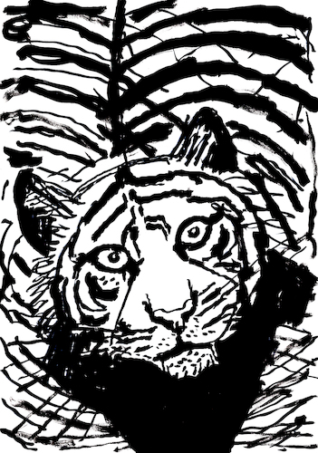 Cartoon: Tiger (medium) by Pascal Kirchmair tagged predator,raubkatze,predateur,felin,felino,fauve,predador,predatore,tiger,tigre,big,cat,cats,katzen,gatos,gatti,chats,illustration,ink,drawing,zeichnung,pascal,kirchmair,cartoon,caricature,karikatur,ilustracion,dibujo,desenho,ilustracao,illustrazione,illustratie,dessin,de,presse,tekening,teckning,cartum,vineta,comica,vignetta,caricatura,tusche,tuschezeichnung,portrait,retrato,porträt,ritratto,art,arte,kunst,artwork,predator,raubkatze,predateur,felin,felino,fauve,predador,predatore,tiger,tigre,big,cat,cats,katzen,gatos,gatti,chats,illustration,ink,drawing,zeichnung,pascal,kirchmair,cartoon,caricature,karikatur,ilustracion,dibujo,desenho,ilustracao,illustrazione,illustratie,dessin,de,presse,tekening,teckning,cartum,vineta,comica,vignetta,caricatura,tusche,tuschezeichnung,portrait,retrato,porträt,ritratto,art,arte,kunst,artwork