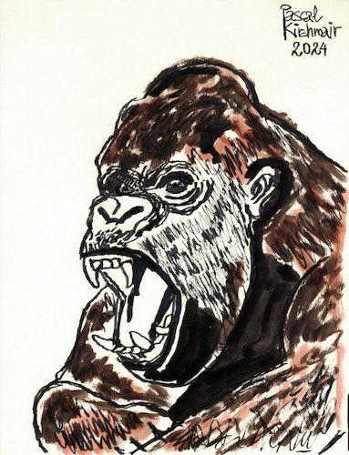 Cartoon: Wütender Gorilla (medium) by Pascal Kirchmair tagged muscleman,gorilla,mountain,berggorilla,beringei,western,lowland,gorille,gorila,illustration,ink,drawing,zeichnung,pascal,kirchmair,cartoon,caricature,karikatur,ilustracion,dibujo,desenho,ilustracao,illustrazione,illustratie,dessin,de,presse,tekening,teckning,cartum,vineta,comica,vignetta,caricatura,tusche,tuschezeichnung,portrait,retrato,porträt,ritratto,art,arte,kunst,artwork,encre,chine,tinta,china,inchiostro,nanquim,painting,pintura,peinture,dipinto,malerei,pittura,muscleman,gorilla,mountain,berggorilla,beringei,western,lowland,gorille,gorila,illustration,ink,drawing,zeichnung,pascal,kirchmair,cartoon,caricature,karikatur,ilustracion,dibujo,desenho,ilustracao,illustrazione,illustratie,dessin,de,presse,tekening,teckning,cartum,vineta,comica,vignetta,caricatura,tusche,tuschezeichnung,portrait,retrato,porträt,ritratto,art,arte,kunst,artwork,encre,chine,tinta,china,inchiostro,nanquim,painting,pintura,peinture,dipinto,malerei,pittura