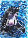 Delfin