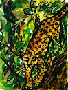 Leopard auf einem Baum