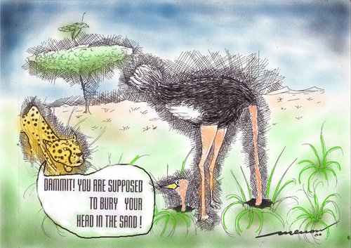 Cartoon: A Smart Ostrich... (medium) by kar2nist tagged predator,and,prey,plains,african,cheeta,ostrich