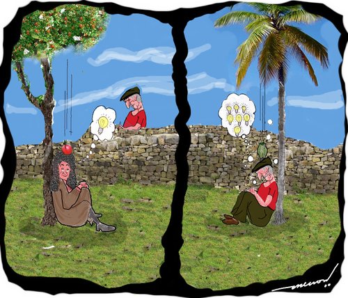 Cartoon: Apple vs. Coconut (medium) by kar2nist tagged coconut,world,day,falling,apple,newton