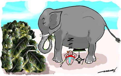 Cartoon: Elephant prop (medium) by kar2nist tagged elephant,palmleaves,prop,sleep,carjack