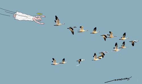 Cartoon: Hitch-hiker (medium) by kar2nist tagged hitchhiking,birds,migration