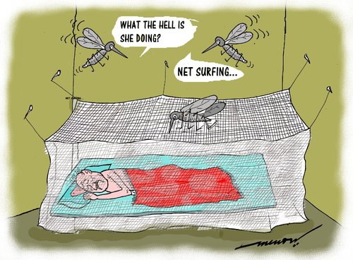 Cartoon: Net savvy mosquitoe (medium) by kar2nist tagged mosquitoe,blood,net