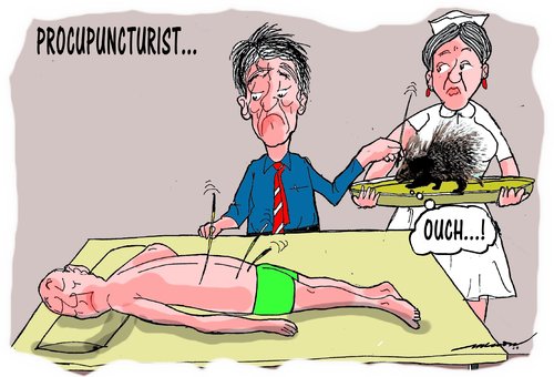 Cartoon: procupuncture (medium) by kar2nist tagged acupuncture,pprocupine
