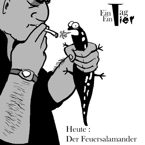 Cartoon: Der Feuersalamander (medium) by Mistviech tagged tiere,natur,feuersalamander,zigaretten,anzünden,feuer,feuerzeug