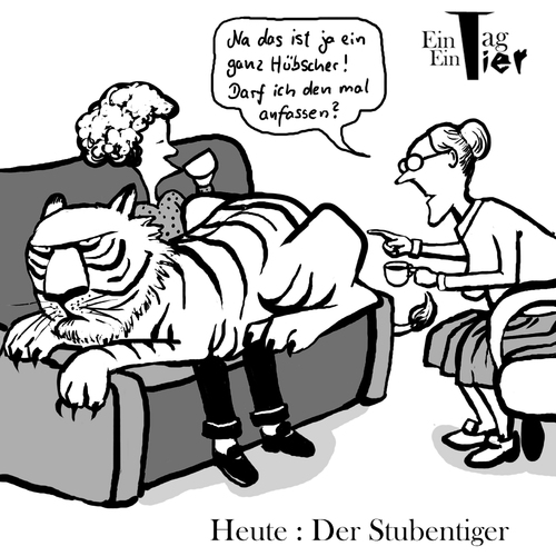 Cartoon: Der Stubentiger (medium) by Mistviech tagged tiere,natur,tiger,katze,stubentiger