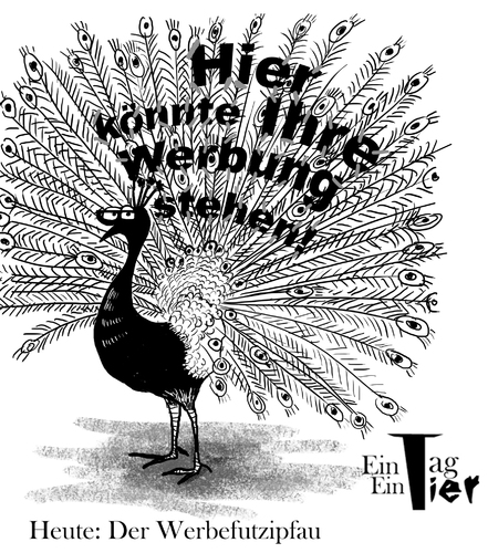 Cartoon: Der Werbefutzipfau (medium) by Mistviech tagged tiere,natur,werbung,brautwerbung,marketing,werbefutzi,design,pfau