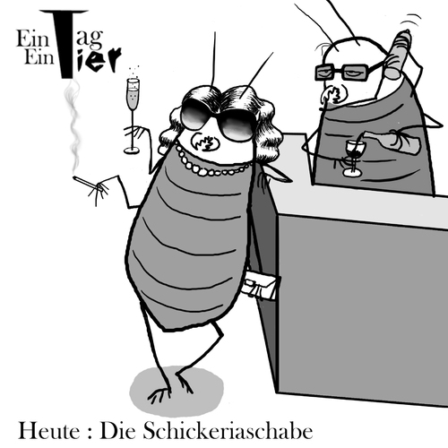 Cartoon: Die Schickeriaschabe (medium) by Mistviech tagged tiere,natur,kakerlake,schickeria,schabe,küchenschabe