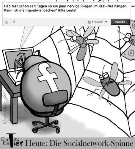 Cartoon: Die Socialnetwork-Spinne (medium) by Mistviech tagged fliegen,spinnennetz,netzwerk,spinne,facebook,network,social