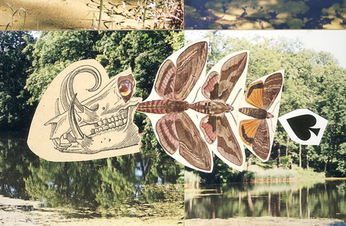 Cartoon: Autopostcard. Waterway Animal (medium) by Kestutis tagged wasser,kunst,lithuania,siaulytis,kestutis,art,watercolor,animal,nature,butterfly,collage,water,aquarell