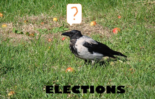 Cartoon: Elections (medium) by Kestutis tagged elections,observagraphics,kestutis,lithuania