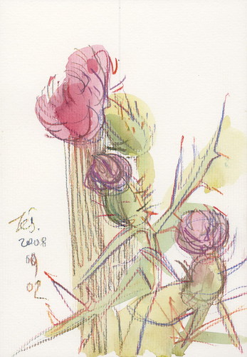 Cartoon: Fields flowers (medium) by Kestutis tagged siaulytis,kestutis,summer,nature,blumen,watercolor,sketch,flowers,fields,lithuania
