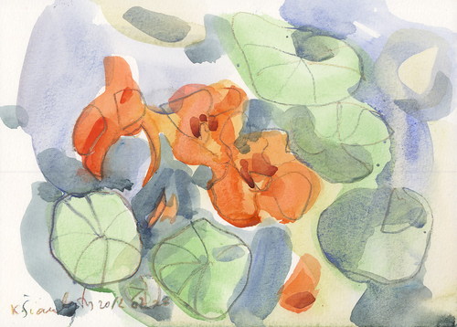 Cartoon: Garden flowers (medium) by Kestutis tagged sketch,lithuania,siaulytis,kestutis,summer,blumen,nature,flowers,garden,watercolor