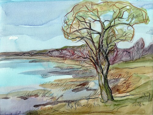 Cartoon: Lakeshore willow (medium) by Kestutis tagged watercolor,spring,sketch,art,kunst,willow,kestutis,lithuania
