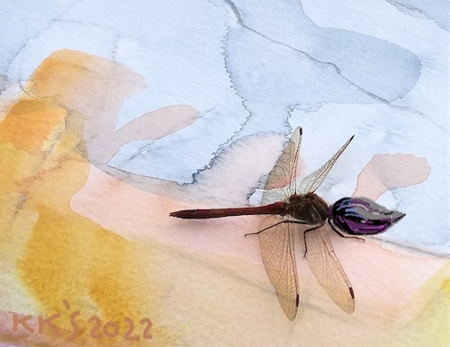 Cartoon: Master of Plein Air Watercolor (medium) by Kestutis tagged art,kunst,watercolor,observagraphics,pleinair,brush,dragonfly,nature,kestutis,lithuania