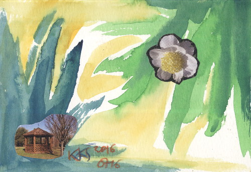 Cartoon: Two gardens (medium) by Kestutis tagged postcard,dada,kestutis,lithuania,two,garden