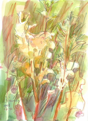 Cartoon: Fields flowers (medium) by Kestutis tagged siaulytis,kestutis,summer,nature,blumen,watercolor,sketch,flowers,fields,lithuania