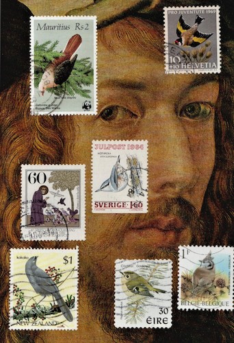 Cartoon: Sermon to Birds and A.Dürer (medium) by Kestutis tagged dürer,albrecht,dada,postcard,kestutis,lithuania,kunst,art
