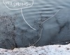 Cartoon: Between winter and spring (small) by Kestutis tagged winter,ice,water,spring,kestutis,lithuania,photography,observagraphics