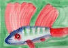 Cartoon: Fish and seal (small) by Kestutis tagged fish seal dada watercolor art kunst kestutis lithuania