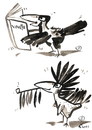 Cartoon: ROOK - VINETU WINNETOU (small) by Kestutis tagged philosophy animals nature birds rook vinetu winnetou book indian