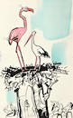 Cartoon: Storks new wife (small) by Kestutis tagged wife,stork,africa,kestutis,lithuania,spring