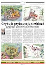 Cartoon: Symbiosis of fungi and mushroom (small) by Kestutis tagged mushroom,summer,newspaper,kestutis,lithuania