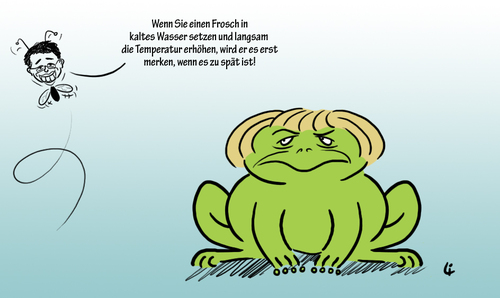 Cartoon: Frosch und Fliege (medium) by elke lichtmann tagged merkel,rösler,frosch,fliege,aschermittwoch