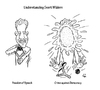Cartoon: Understanding Geert Wilders (small) by elke lichtmann tagged geert,wilders