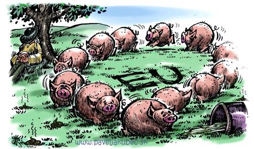 Cartoon: EURO-PIGS (medium) by toon tagged euro,money,crisis
