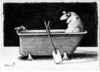 Cartoon: Down by the river (small) by to1mson tagged man,mensch,czlowiek,bad,badewanne