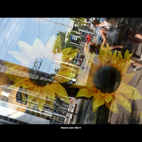 Cartoon: MoArt - Glass Reflections 5 (medium) by MoArt Rotterdam tagged straat,street,people,mensen,sunflower,zonnebloem,window,etalage,weerspiegeling,reflectie,reflection,moartcards,moart,rotterdam,tags