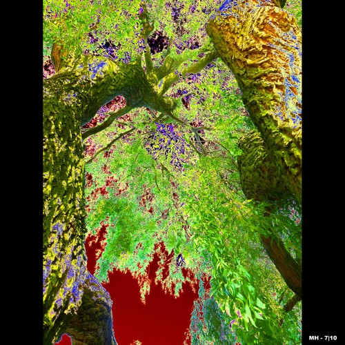 Cartoon: MH - Looking Up IV (medium) by MoArt Rotterdam tagged tree,boom,lookingup,omhoogkijken,doorkijkje,crazycolors,colorfest